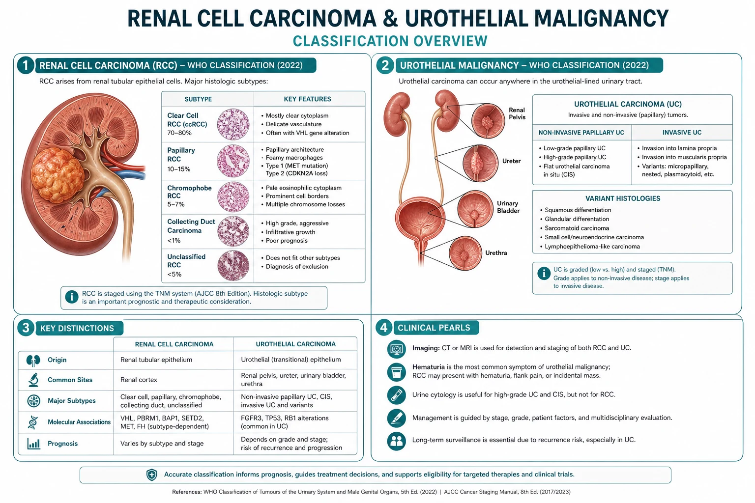 Classification diagram for Renal Cell Carcinoma AND Urothelial Malignancy.