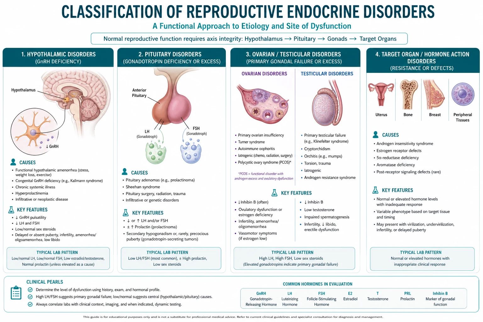 Classification diagram for Reproductive Endocrinology.