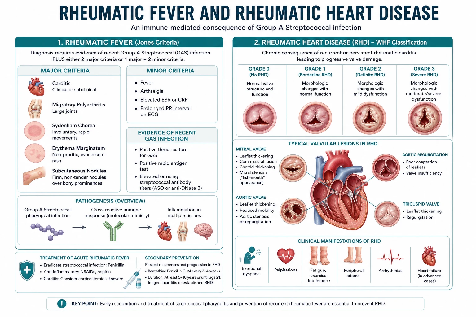 Classification diagram for Rheumatic Fever AND Rheumatic Heart Disease.