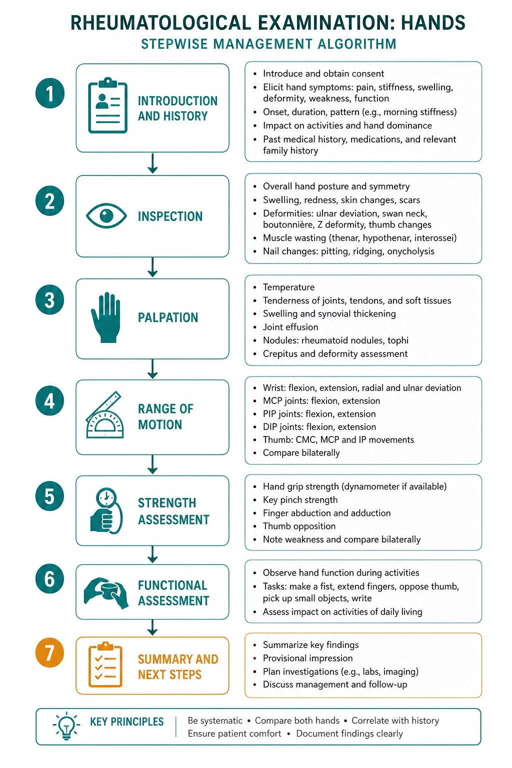 Management for rheumatological examination hands
