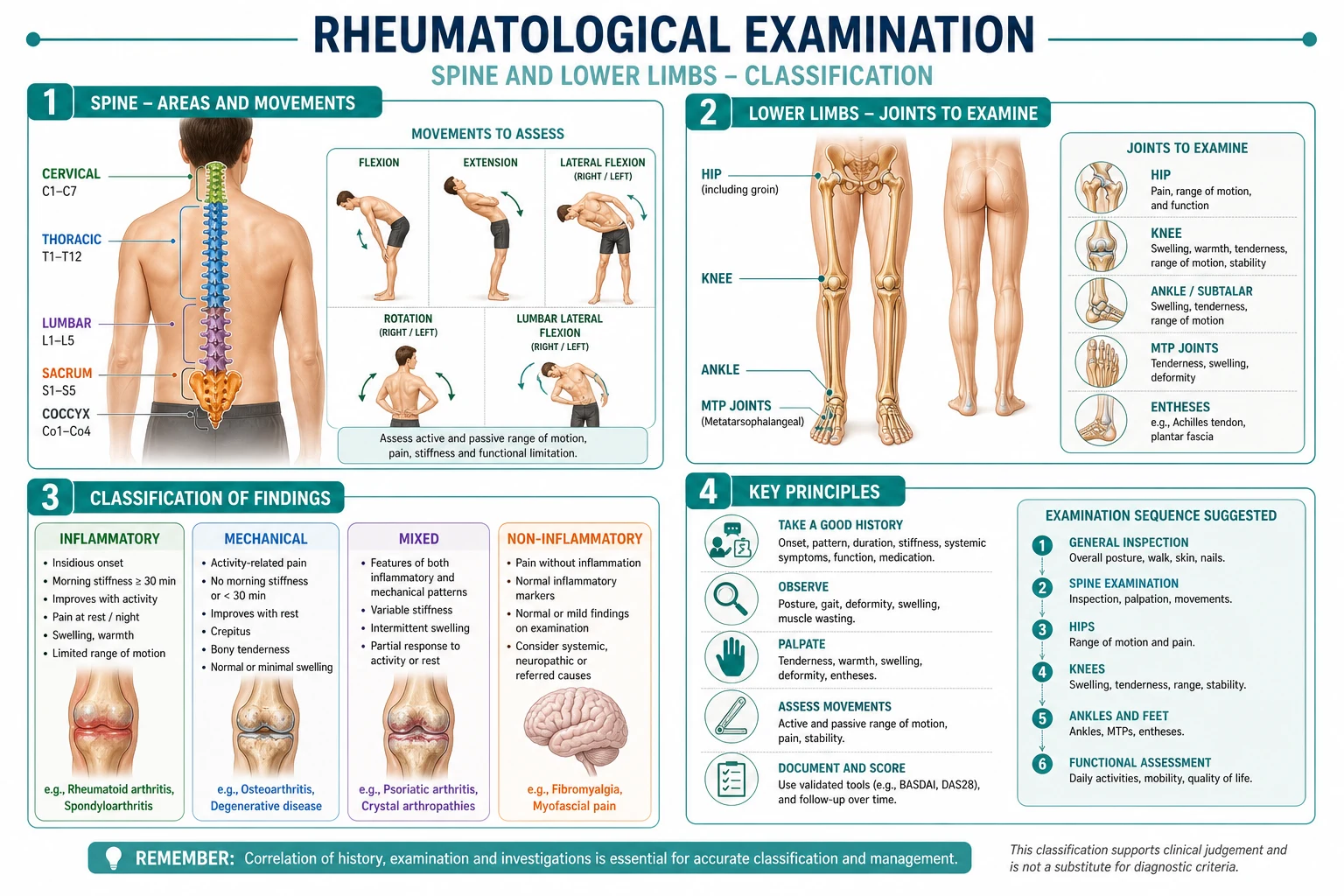 Classification diagram for Rheumatological Examination Spine AND Lower Limbs.