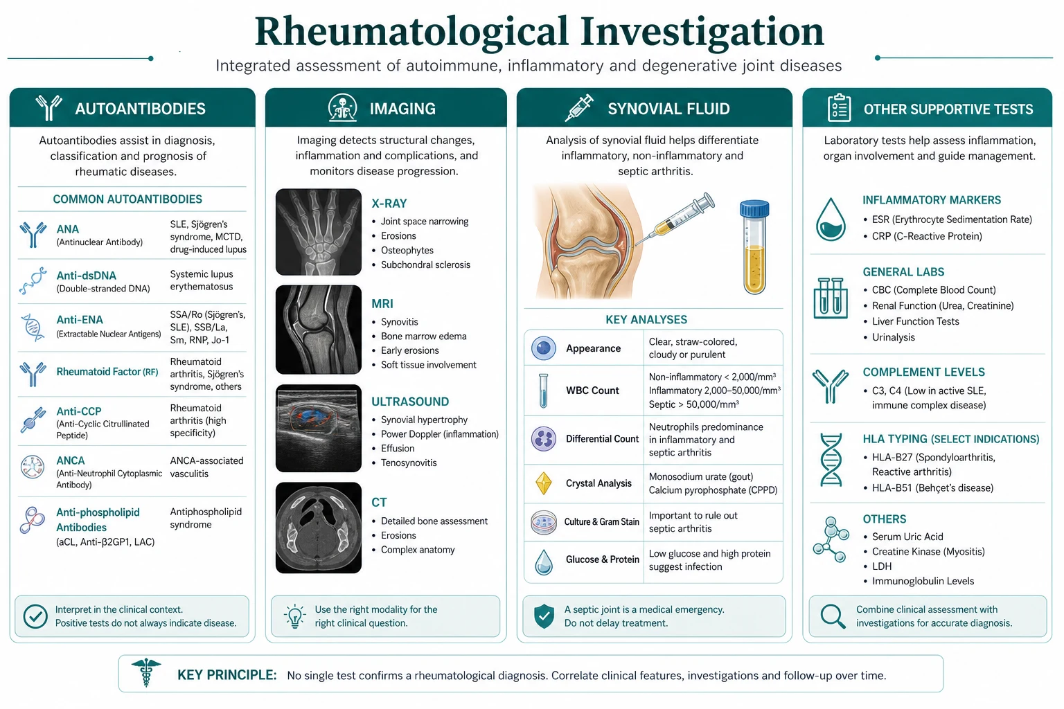 Classification diagram for Rheumatological Investigation Autoantibodies Imaging Synovial Fluid.