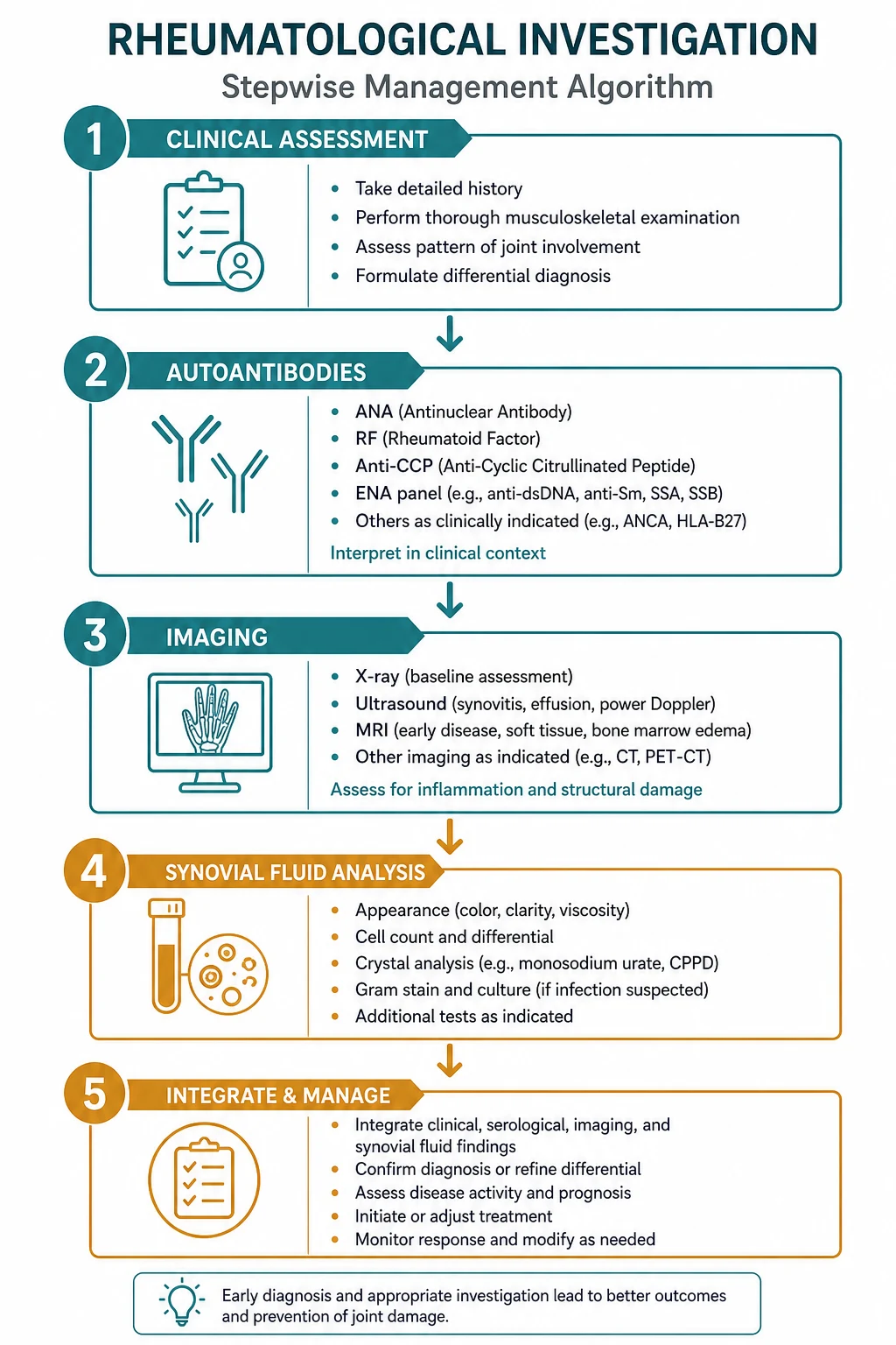 Stepwise management algorithm for Rheumatological Investigation Autoantibodies Imaging Synovial Fluid.