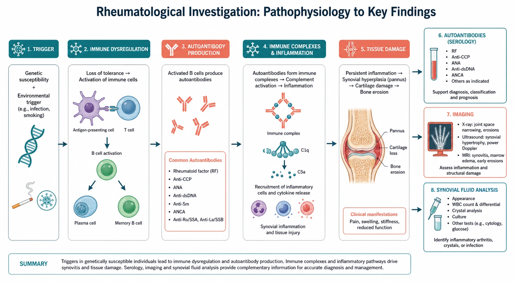 Pathophysiology mechanism diagram for Rheumatological Investigation Autoantibodies Imaging Synovial Fluid.