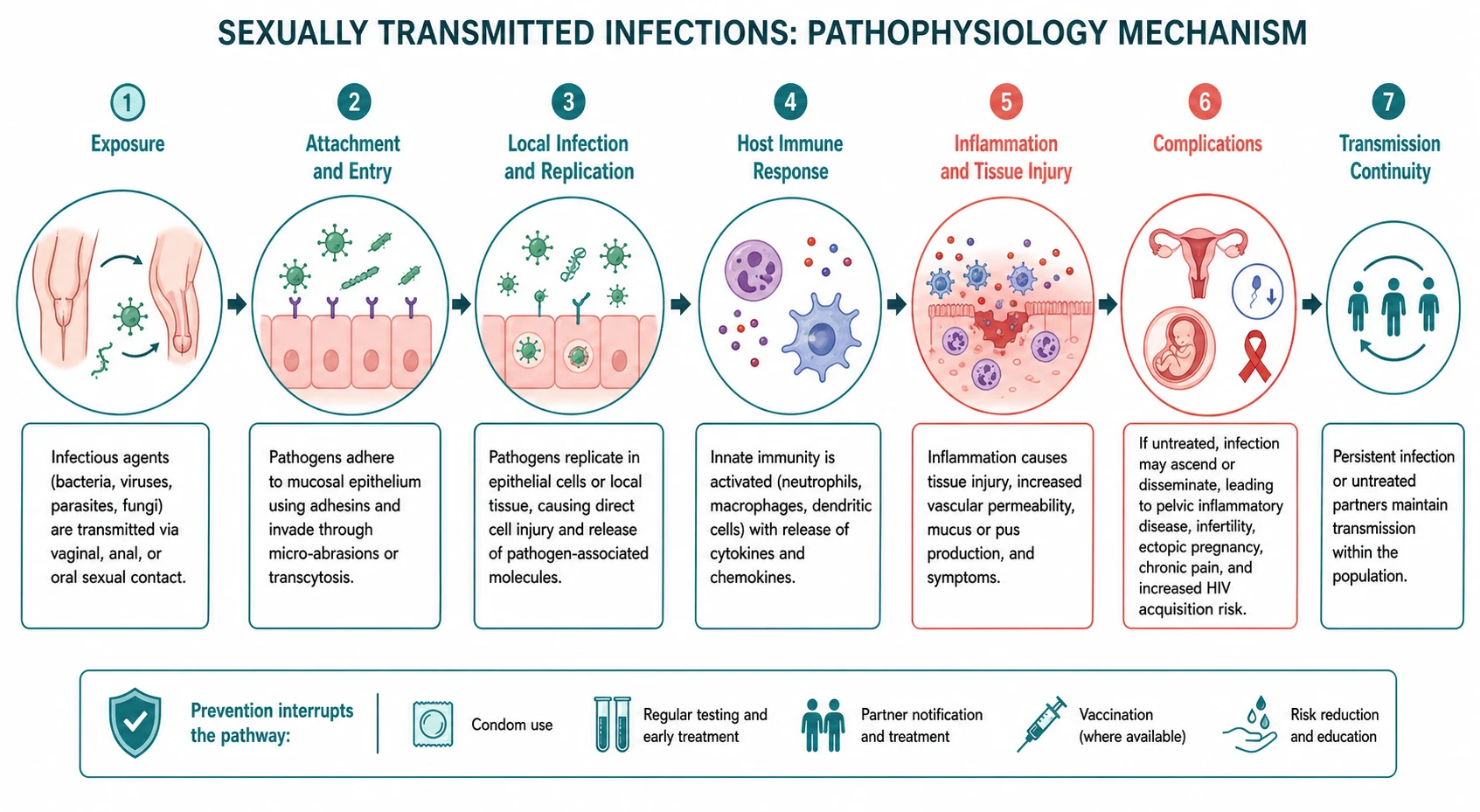 Pathophysiology mechanism diagram for Sexually Transmitted Infections.