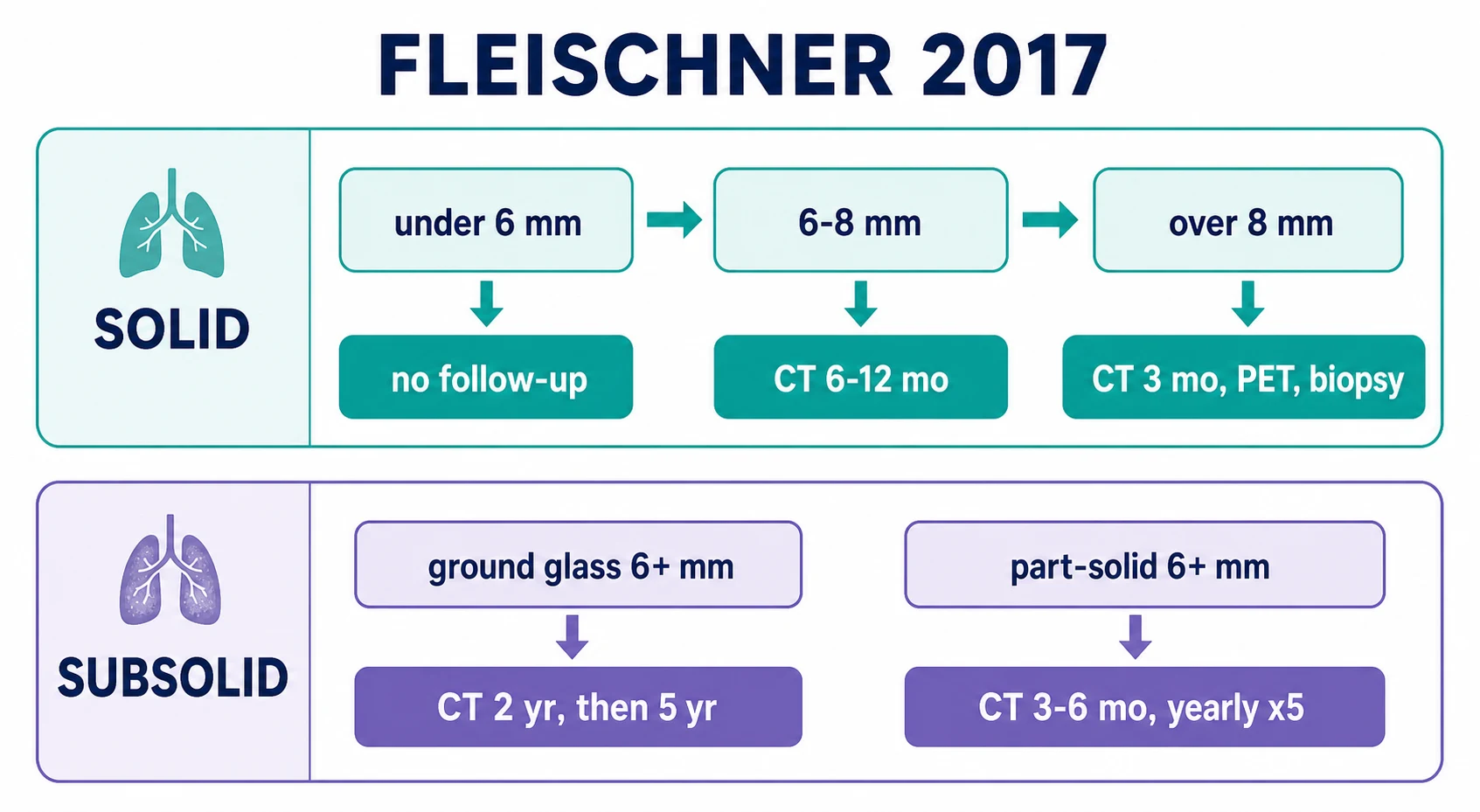 Fleischner 2017 surveillance algorithm split into solid and subsolid arms with size-based CT follow-up intervals
