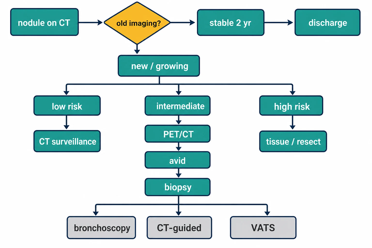 Solitary pulmonary nodule workup algorithm from CT detection through old-imaging comparison and risk stratification to surveillance, PET or the three biopsy routes