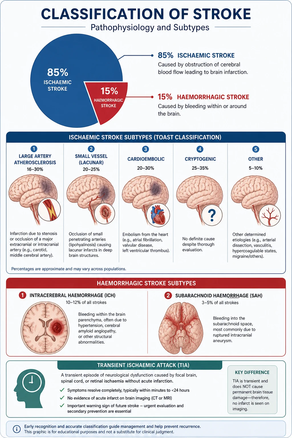 Stroke classification: ischaemic 85% vs haemorrhagic 15%, with TOAST subtypes