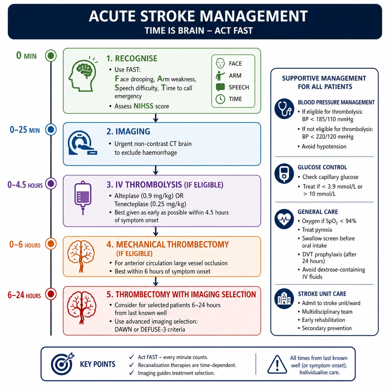 Acute stroke management algorithm — thrombolysis and thrombectomy windows