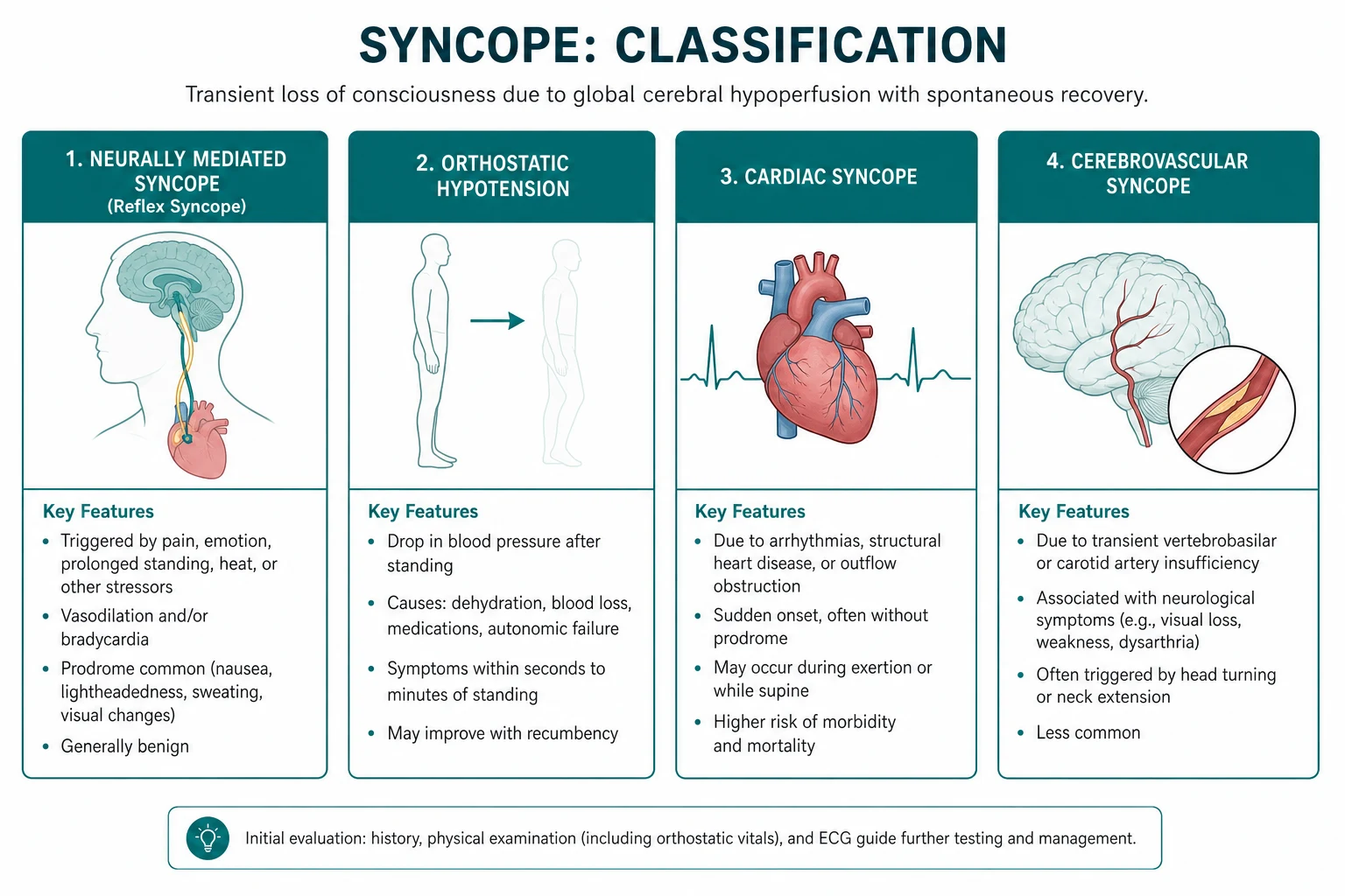 Classification for syncope
