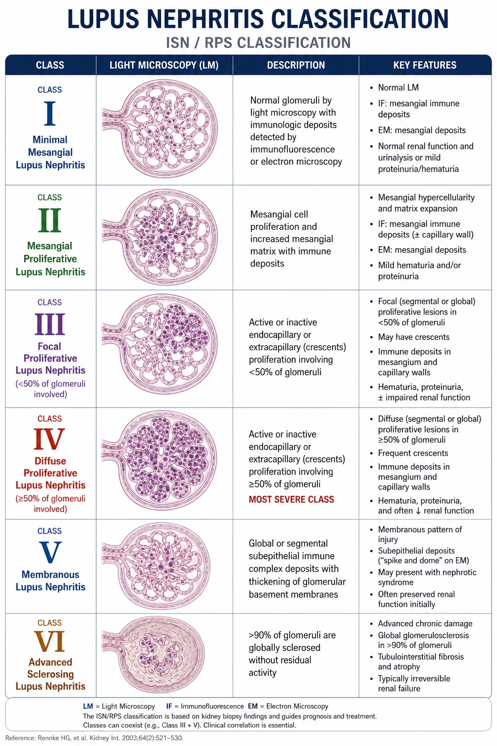 ISN/RPS lupus nephritis classification I to VI — class I mesangial, class II mesangial proliferative, class III focal proliferative, class IV diffuse proliferative with wire loops and crescents, class V membranous, class VI advanced sclerosing