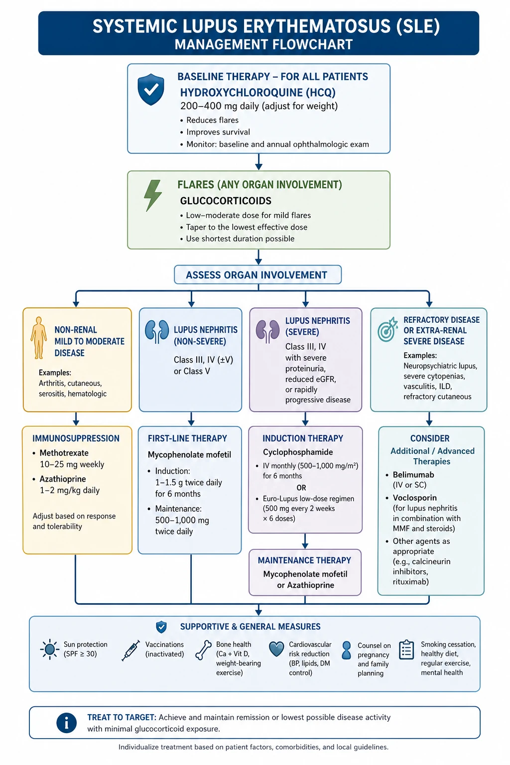 SLE management algorithm — hydroxychloroquine for all patients, corticosteroids for flares, immunosuppressives for organ-threatening disease (lupus nephritis, neuropsychiatric), biologics (belimumab, anifrolumab) for refractory disease, pregnancy and APS considerations