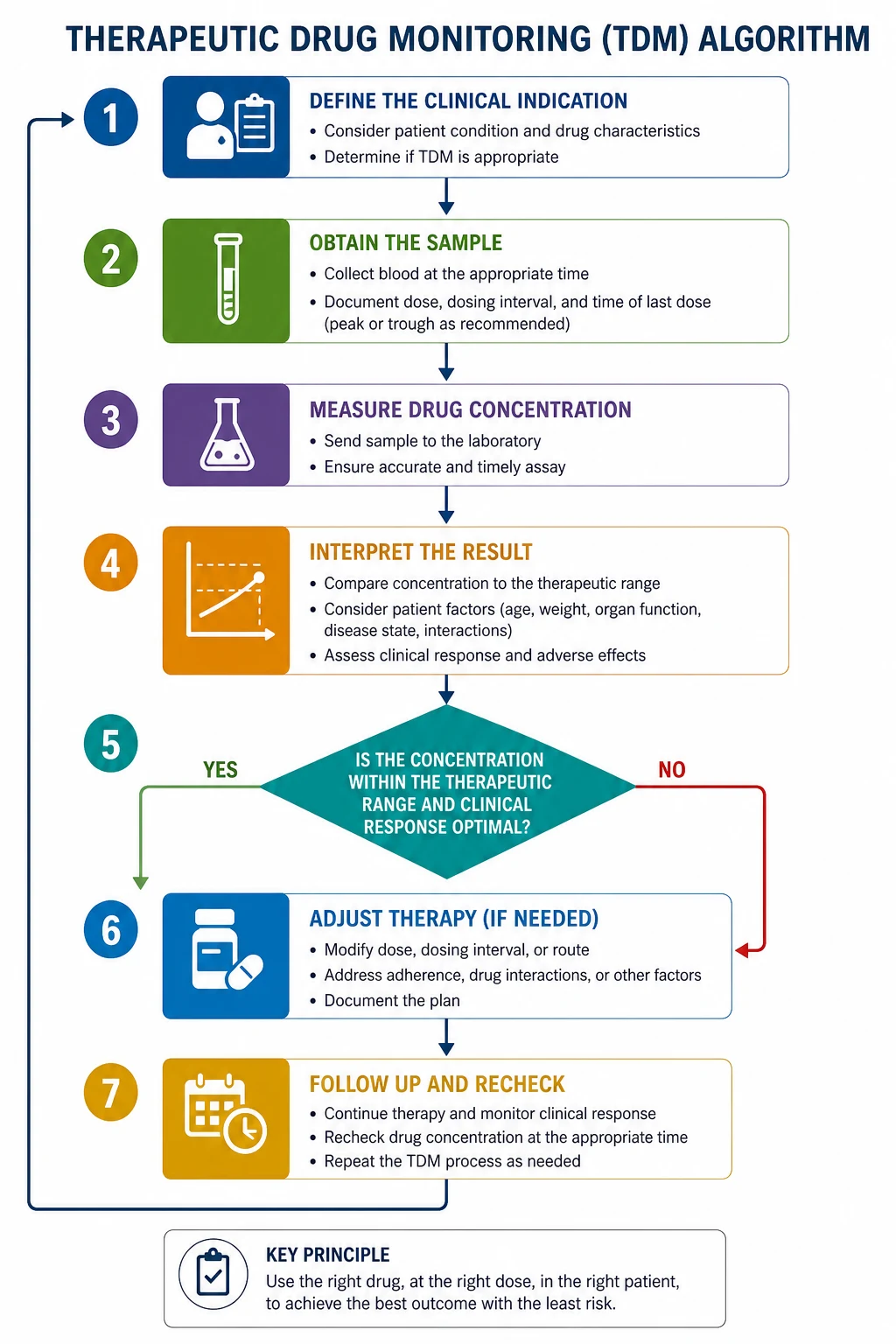 Stepwise management algorithm for Therapeutic Drug Monitoring.