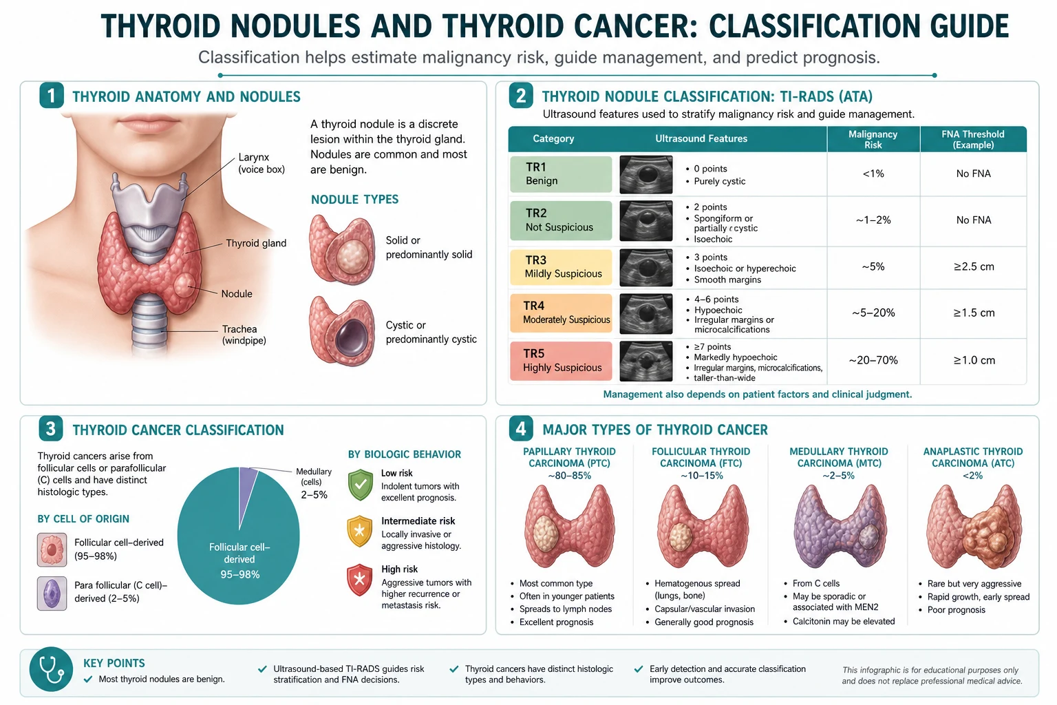 Classification diagram for Thyroid Nodules AND Thyroid Cancer.