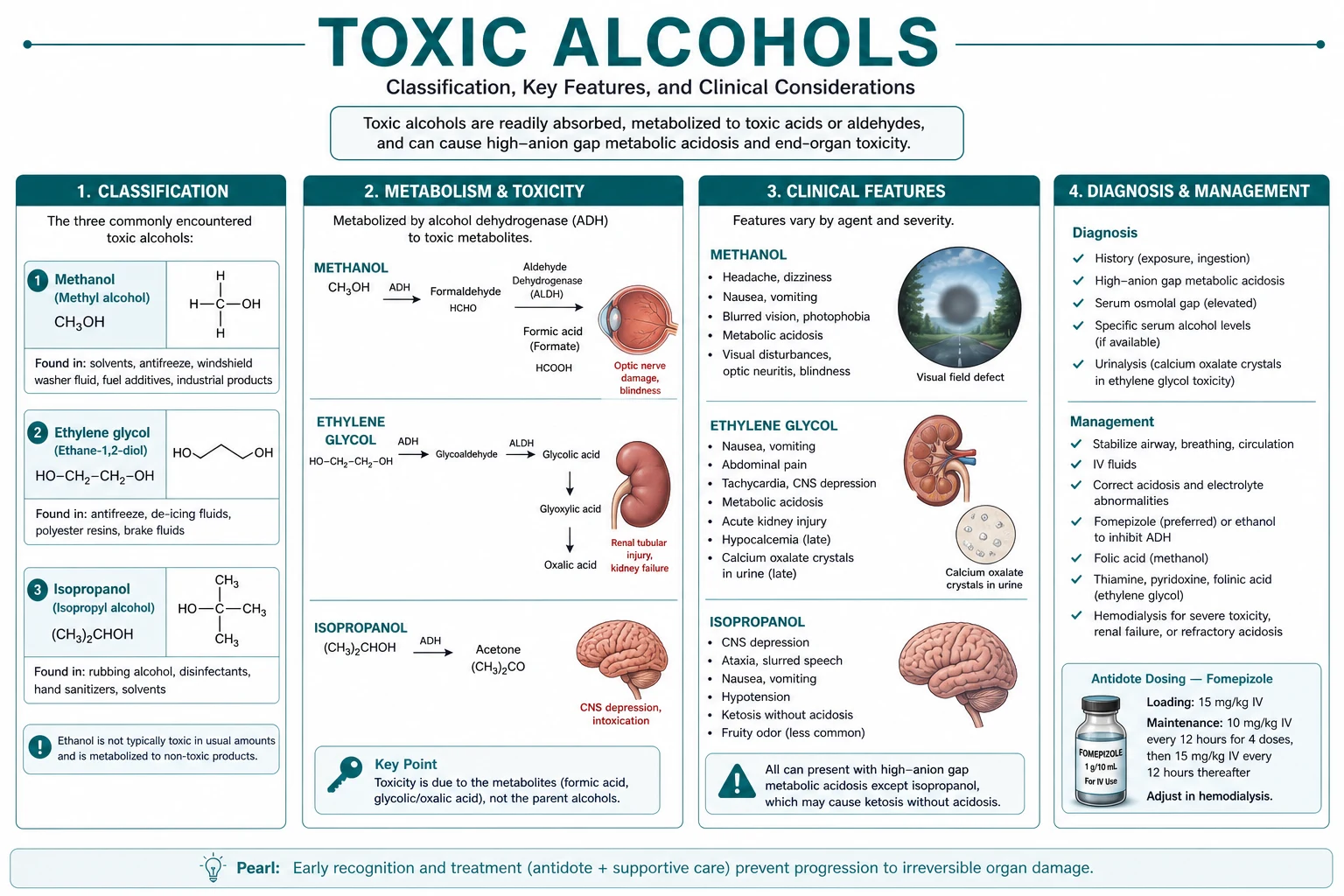 Classification diagram for Toxic Alcohols.