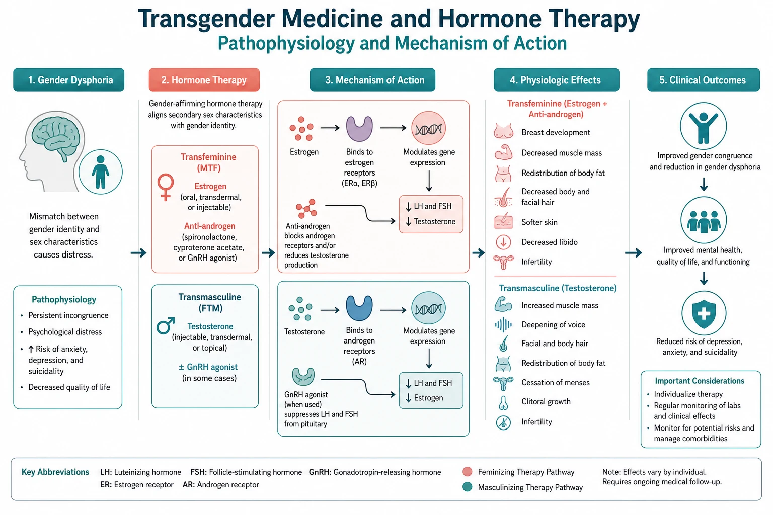 Pathophysiology mechanism diagram for Transgender Medicine AND Hormone Therapy.