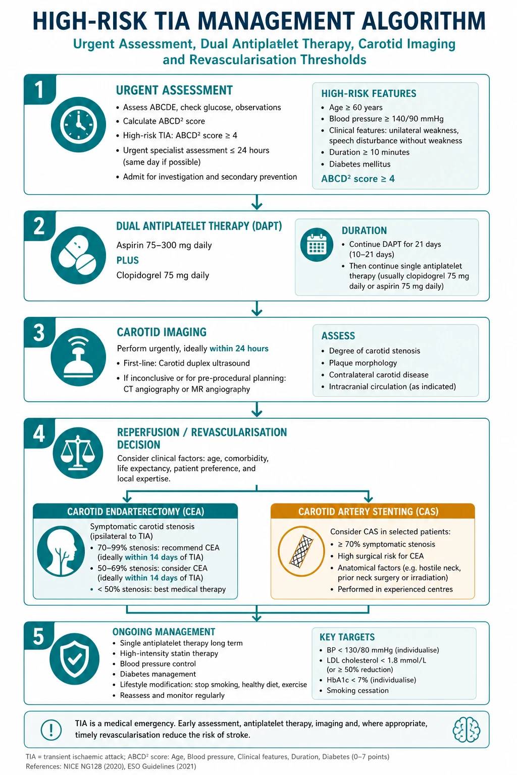 Stepwise management algorithm for high-risk TIA including DAPT and carotid pathway.
