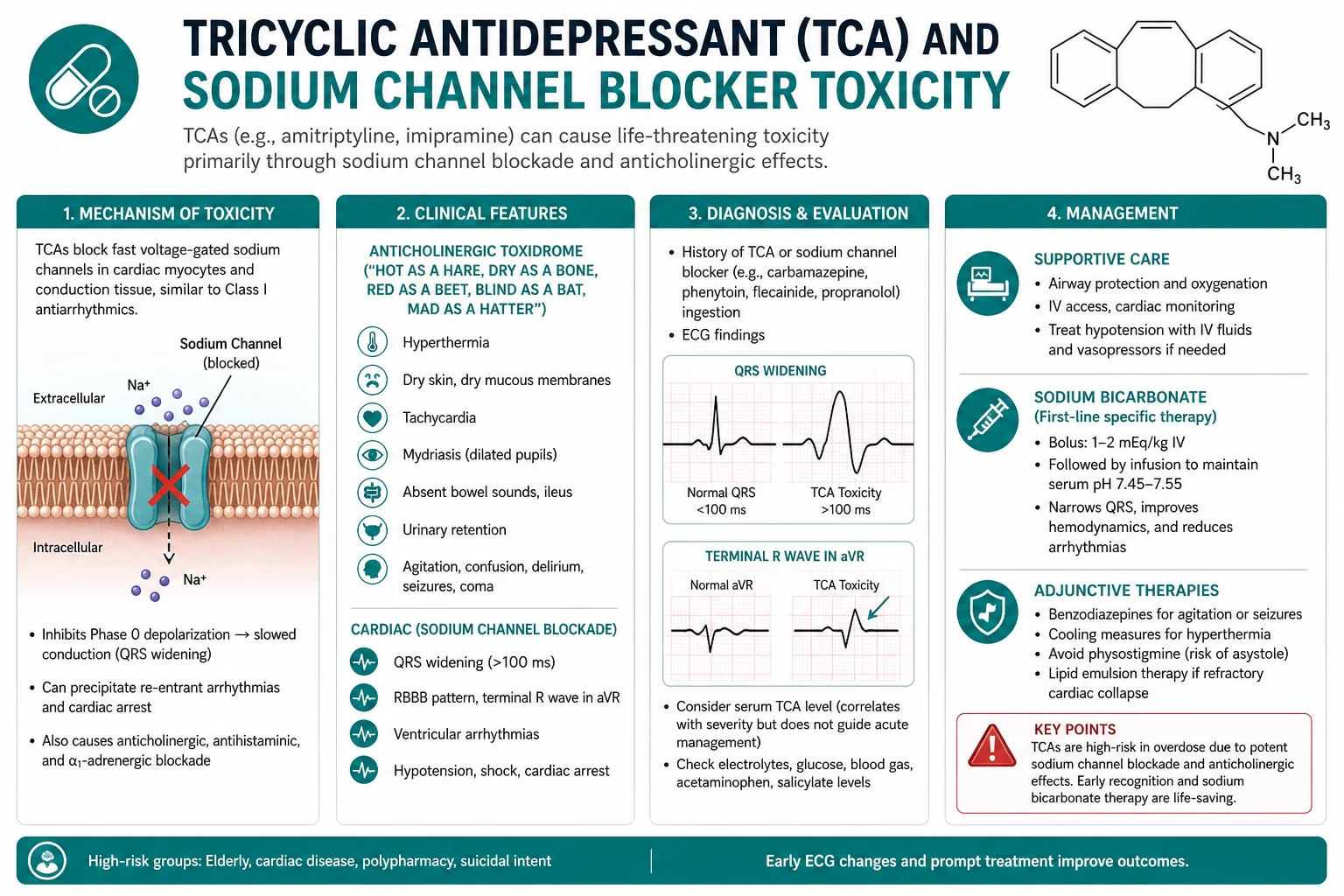 Classification diagram for Tricyclic Antidepressant AND Sodium Channel Blocker Toxicity.