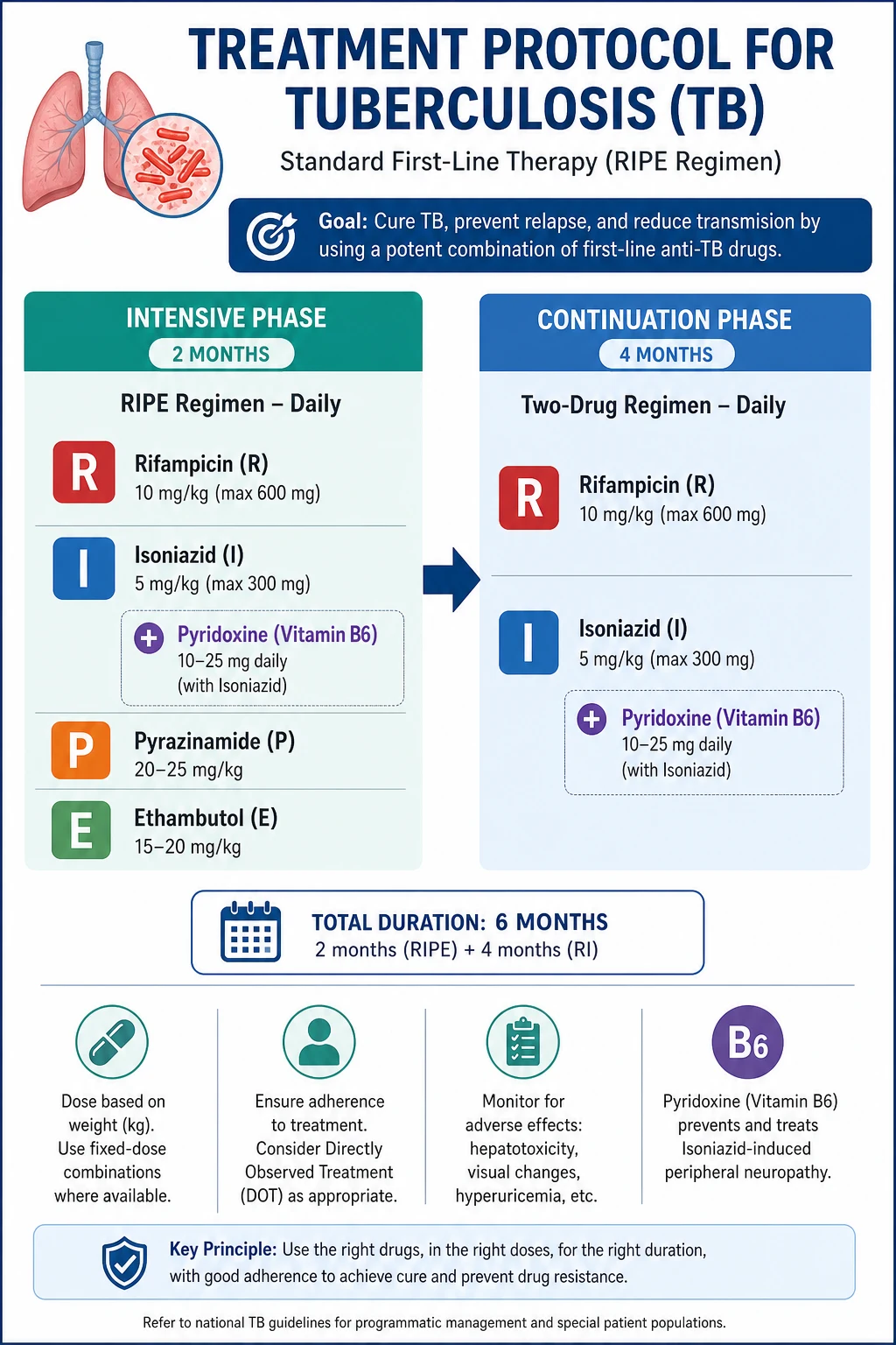 Six-month RIPE treatment protocol showing 2 months of four drugs then 4 months of two drugs with the role and monitoring for each