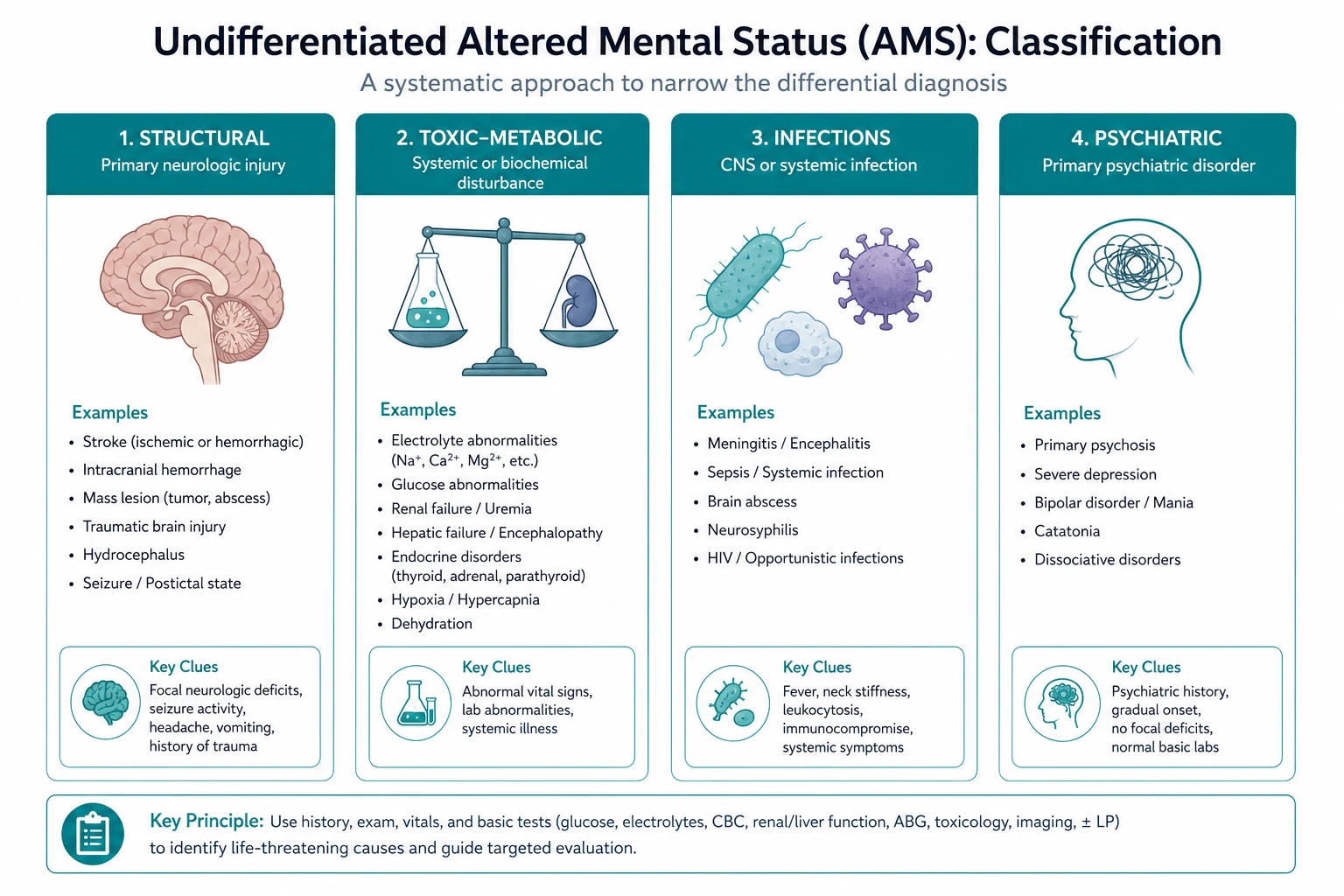 Classification for undifferentiated altered mental status