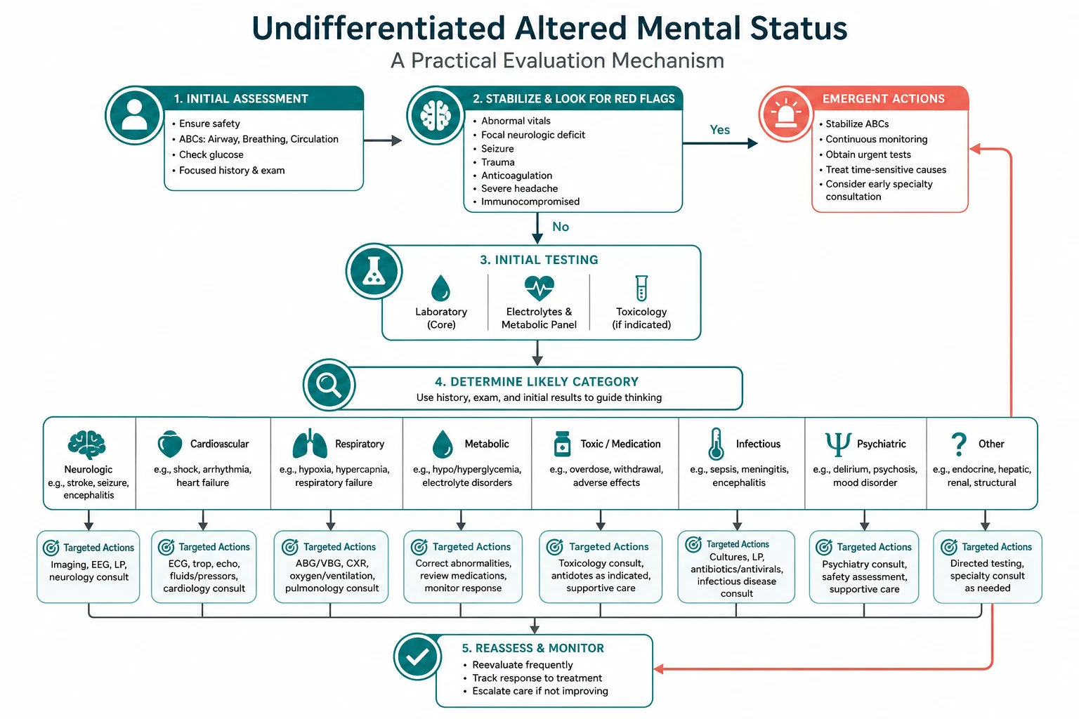 Pathophysiology for undifferentiated altered mental status