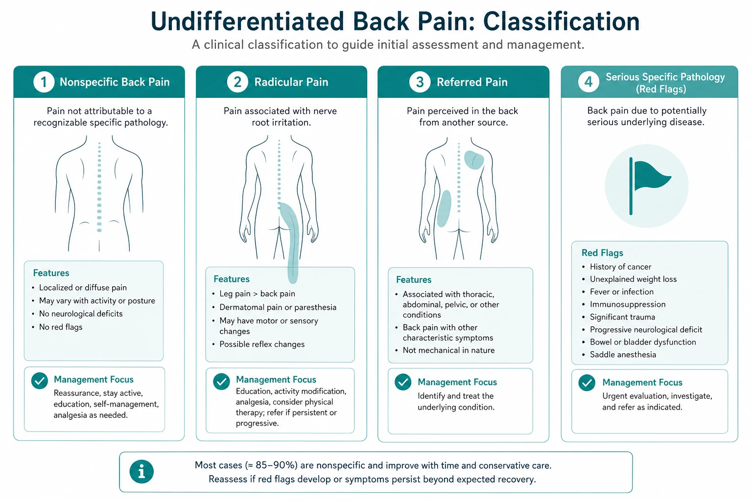 Classification for undifferentiated back pain