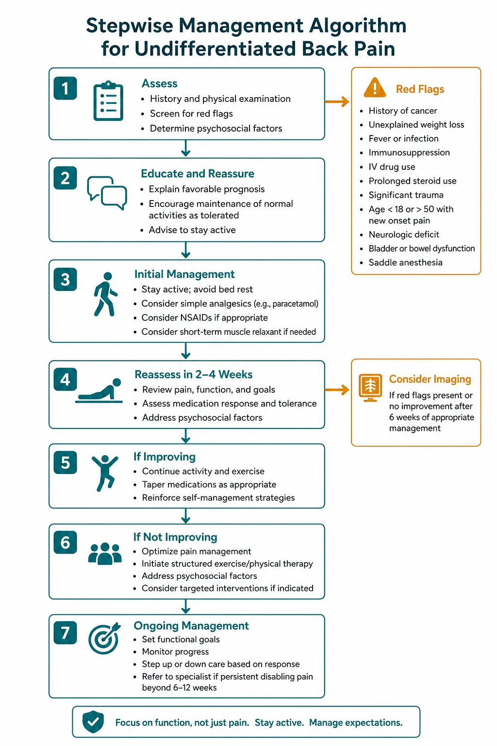 Management for undifferentiated back pain