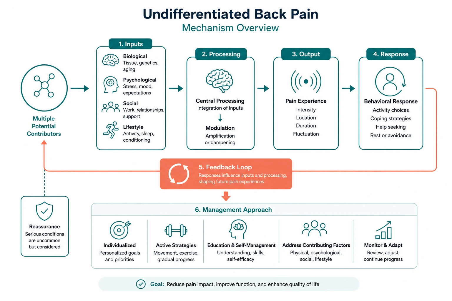 Pathophysiology for undifferentiated back pain