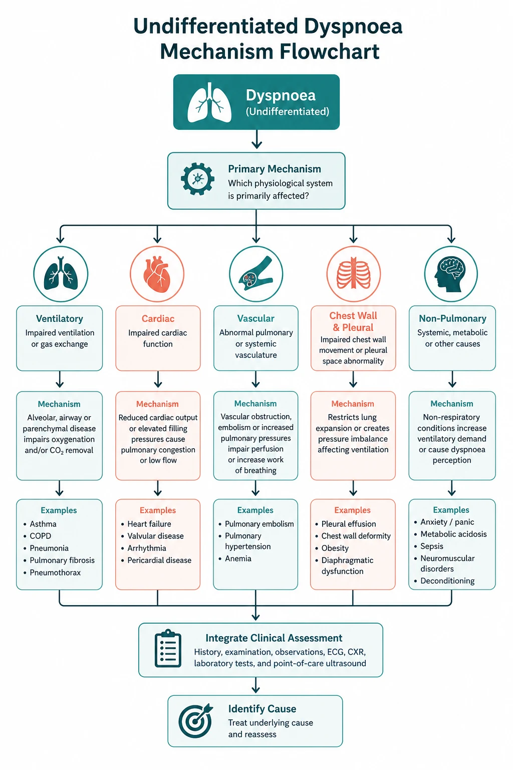 Pathophysiology for undifferentiated dyspnoea