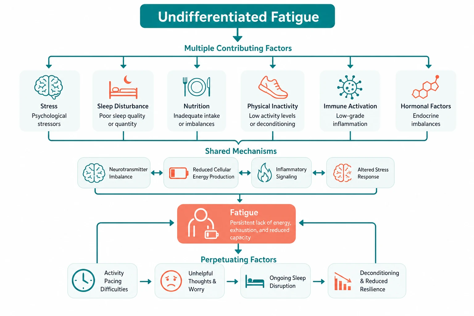 Pathophysiology for undifferentiated fatigue