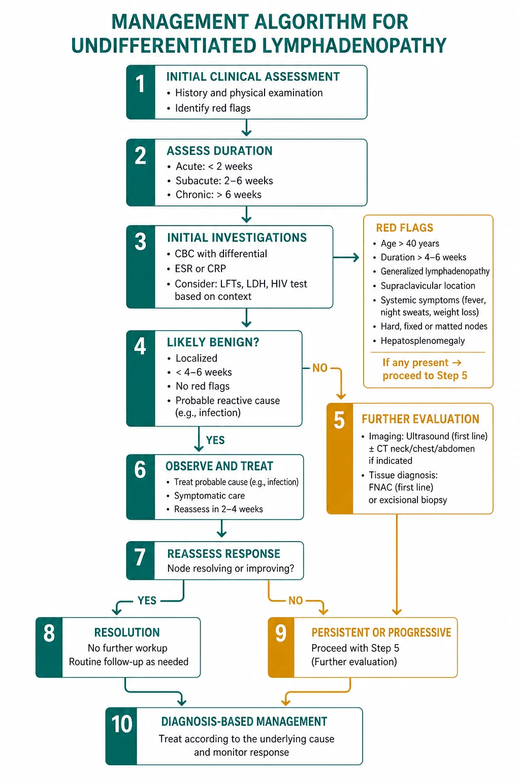 Management for undifferentiated lymphadenopathy