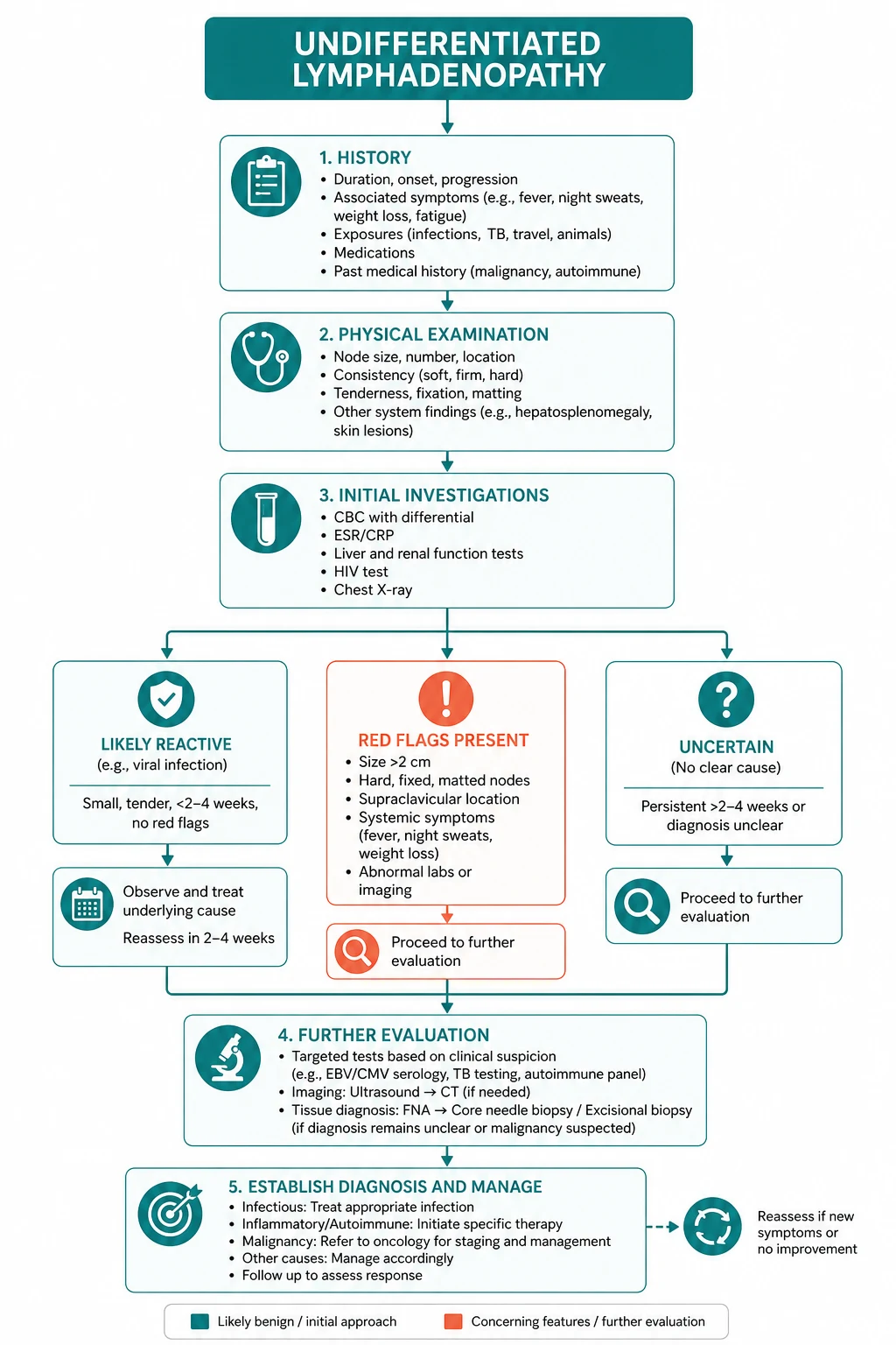 Pathophysiology for undifferentiated lymphadenopathy