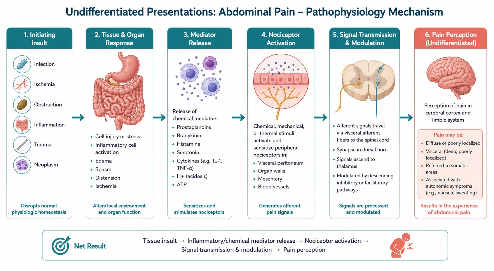 Pathophysiology mechanism diagram for Undifferentiated Presentations Abdominal Pain.