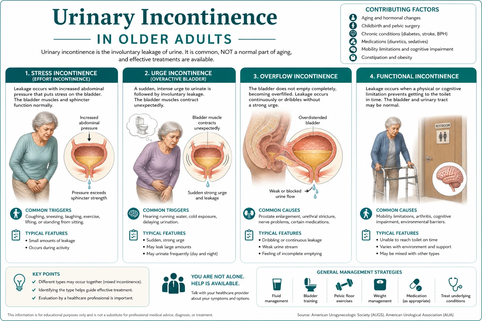 Classification diagram for Urinary Incontinence IN Older Adults.