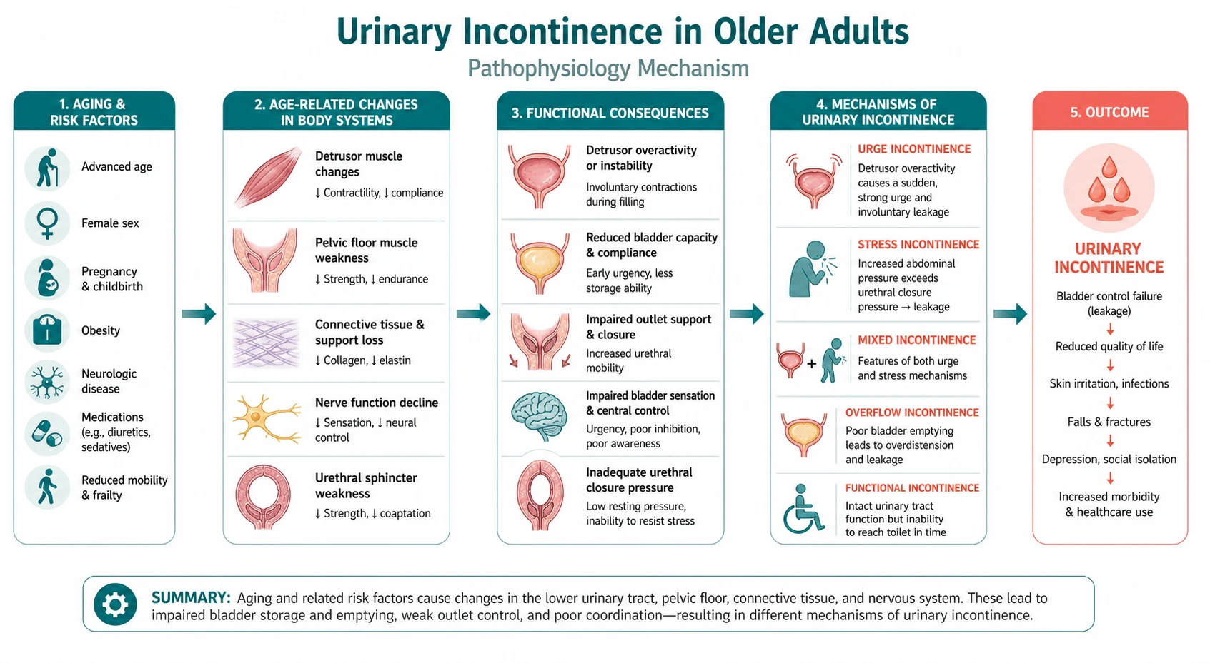 Pathophysiology mechanism diagram for Urinary Incontinence IN Older Adults.