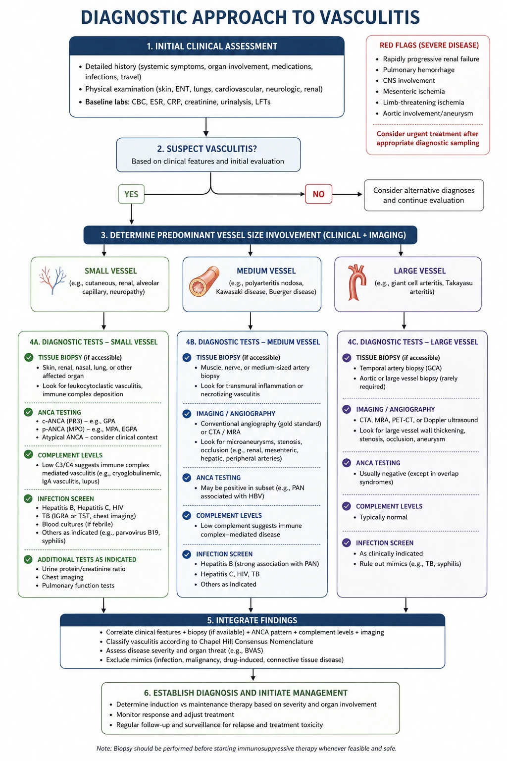 A stepwise diagnostic approach to suspected systemic vasculitis — syndrome recognition by vessel size, confirmation by biopsy and laboratory panel, and exclusion of mimics