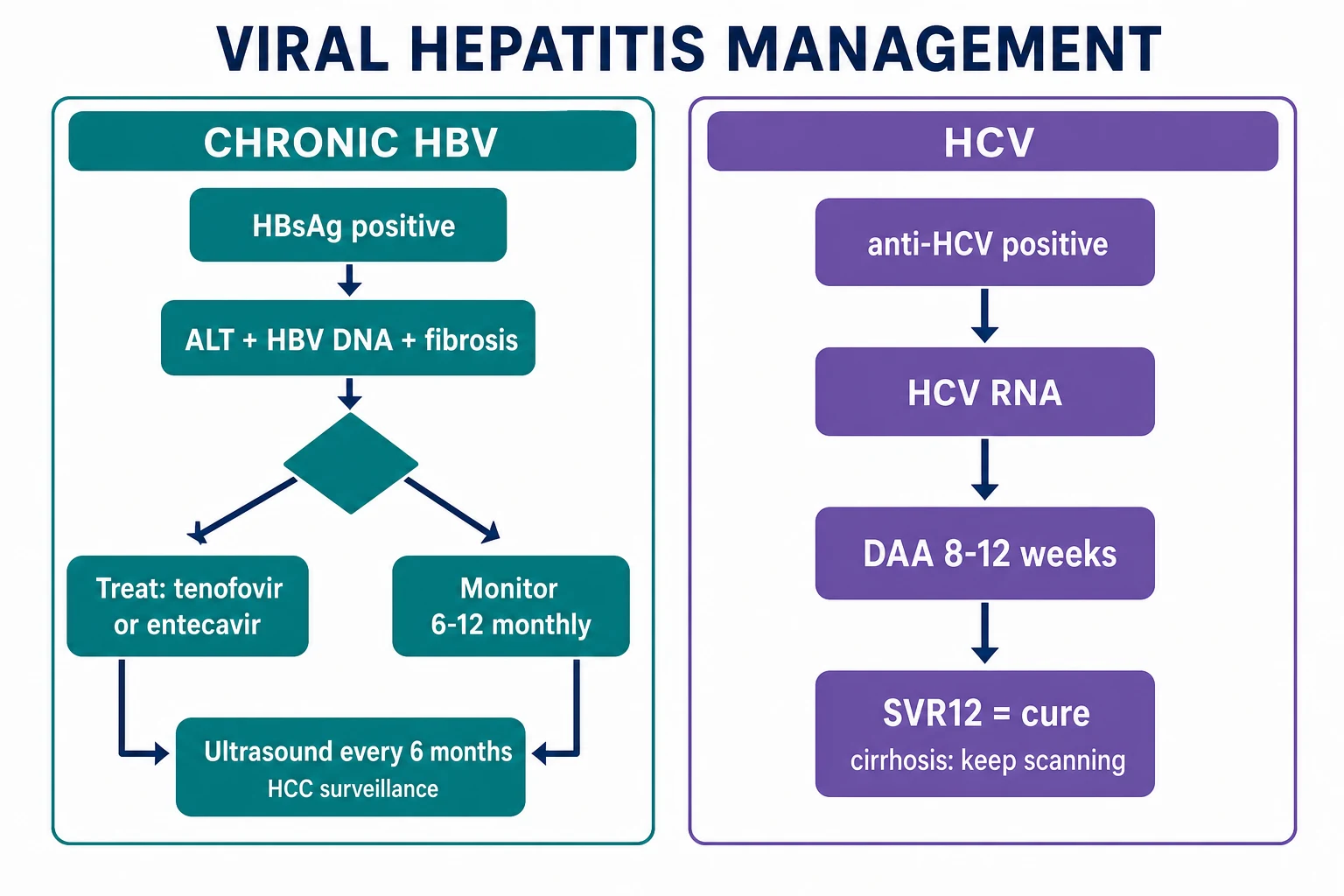 Chronic HBV phases and the HCV DAA treatment algorithm by genotype and cirrhosis status