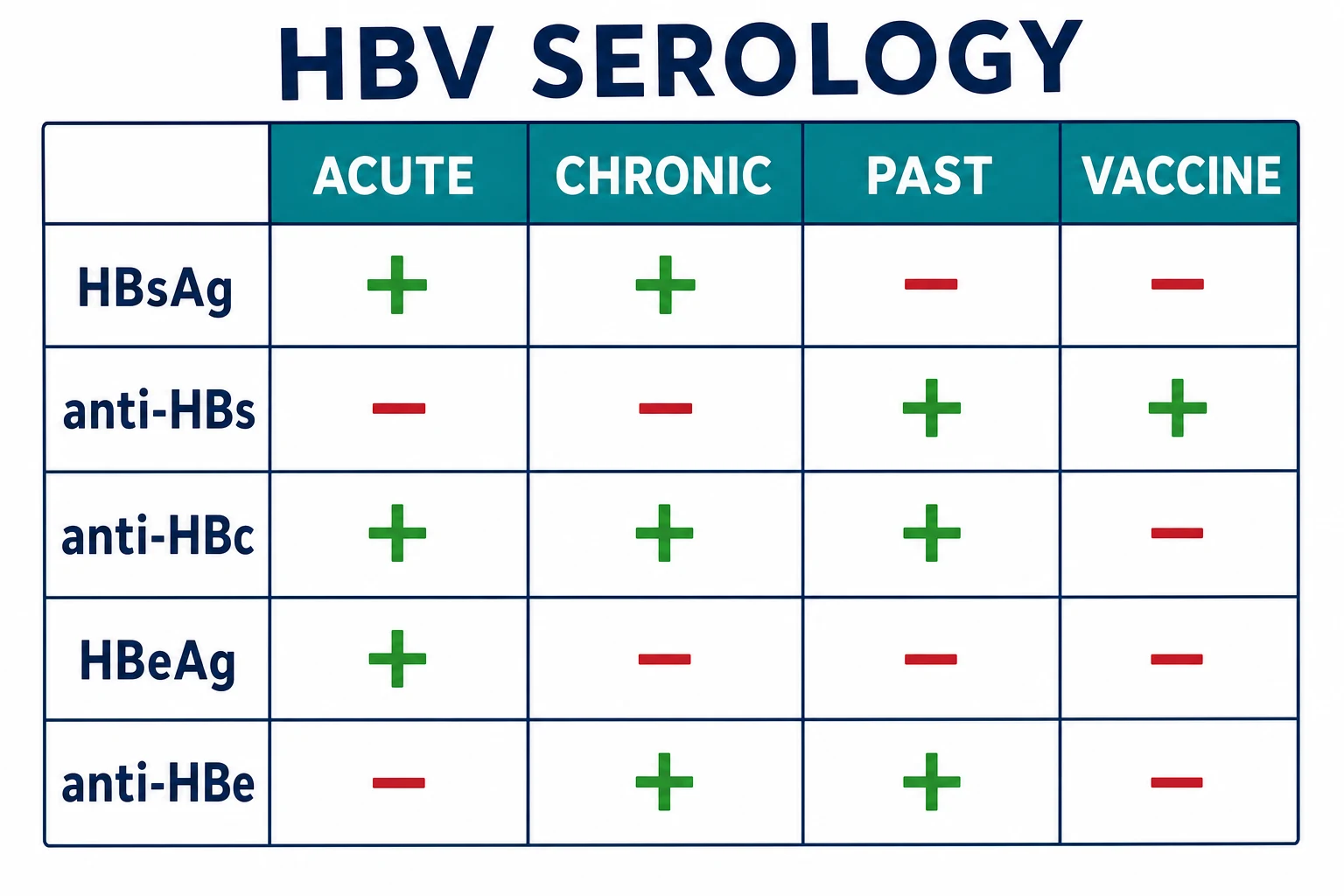 HBV serology interpretation matrix — HBsAg, anti-HBs, anti-HBc, HBeAg and anti-HBe across acute, chronic, past and vaccinated states