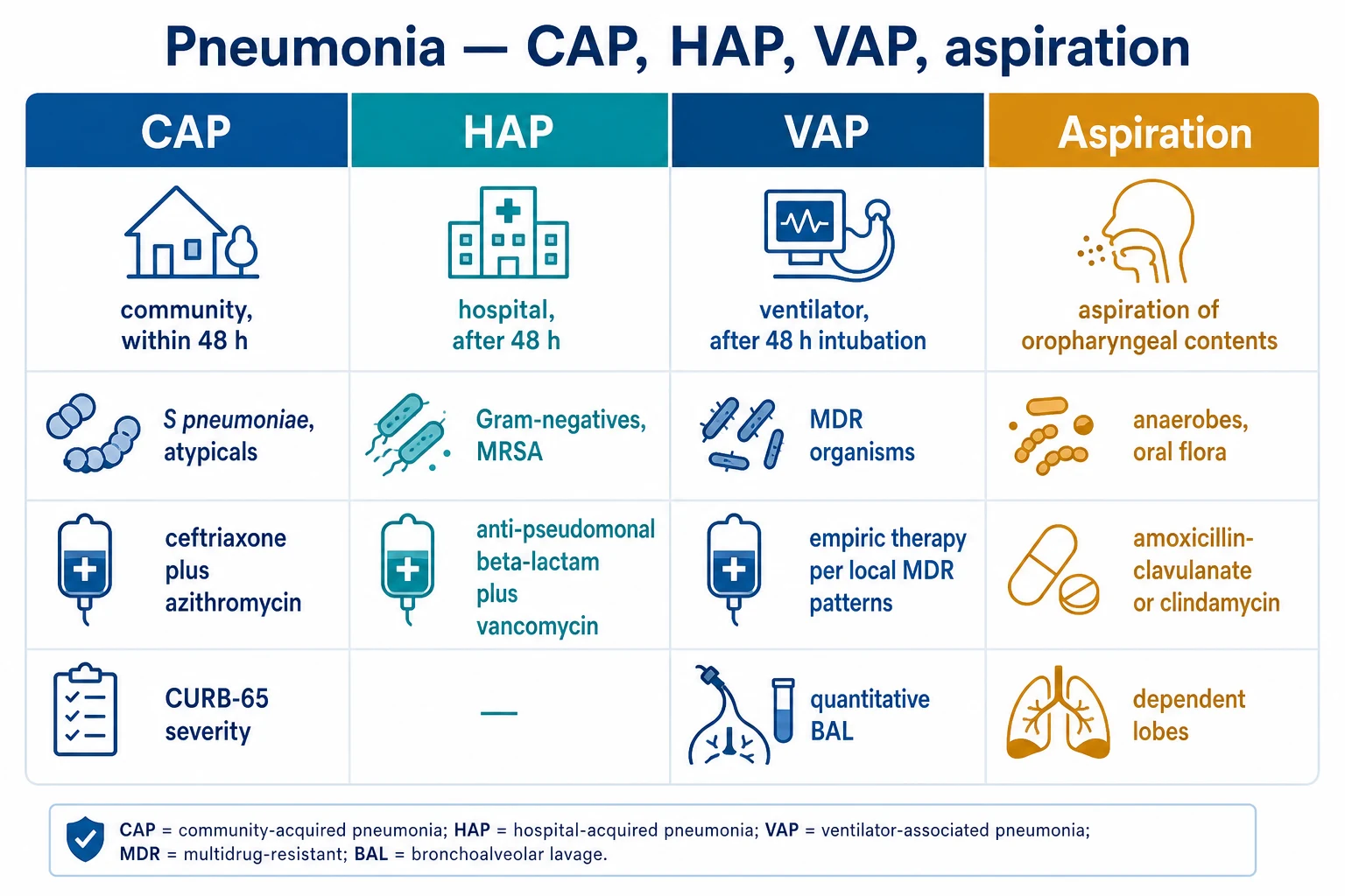 Four-column comparison infographic on a white clinical-blue background: CAP (community, within 48 h; S pneumoniae, atypicals; ceftriaxone plus azithromycin; CURB-65 severity); HAP (hospital, after 48 h; Gram-negatives, MRSA; anti-pseudomonal beta-lactam plus vancomycin); VAP (ventilator, after 48 h intubation; MDR organisms; quantitative BAL); Aspiration (anaerobes, oral flora; amoxicillin-clavulanate or clindamycin; dependent lobes). Flat vector illustration, crisp typography.