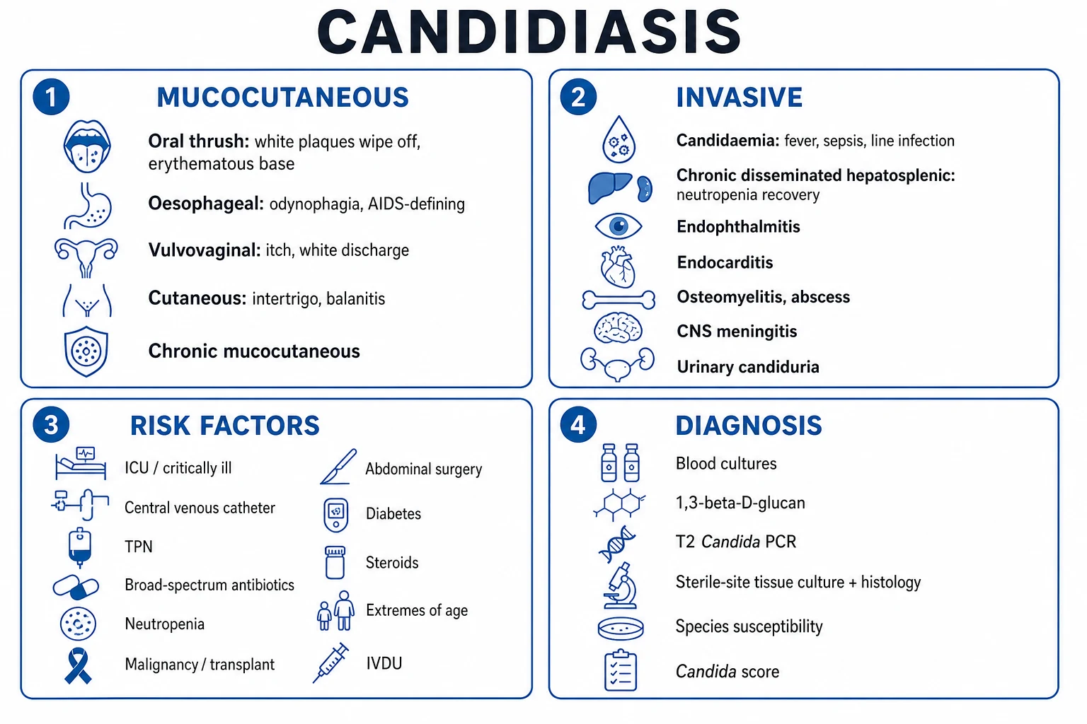 Classification of opportunistic pneumonia syndromes including invasive mould disease, PJP and CMV pneumonitis by immune defect and post-transplant timing