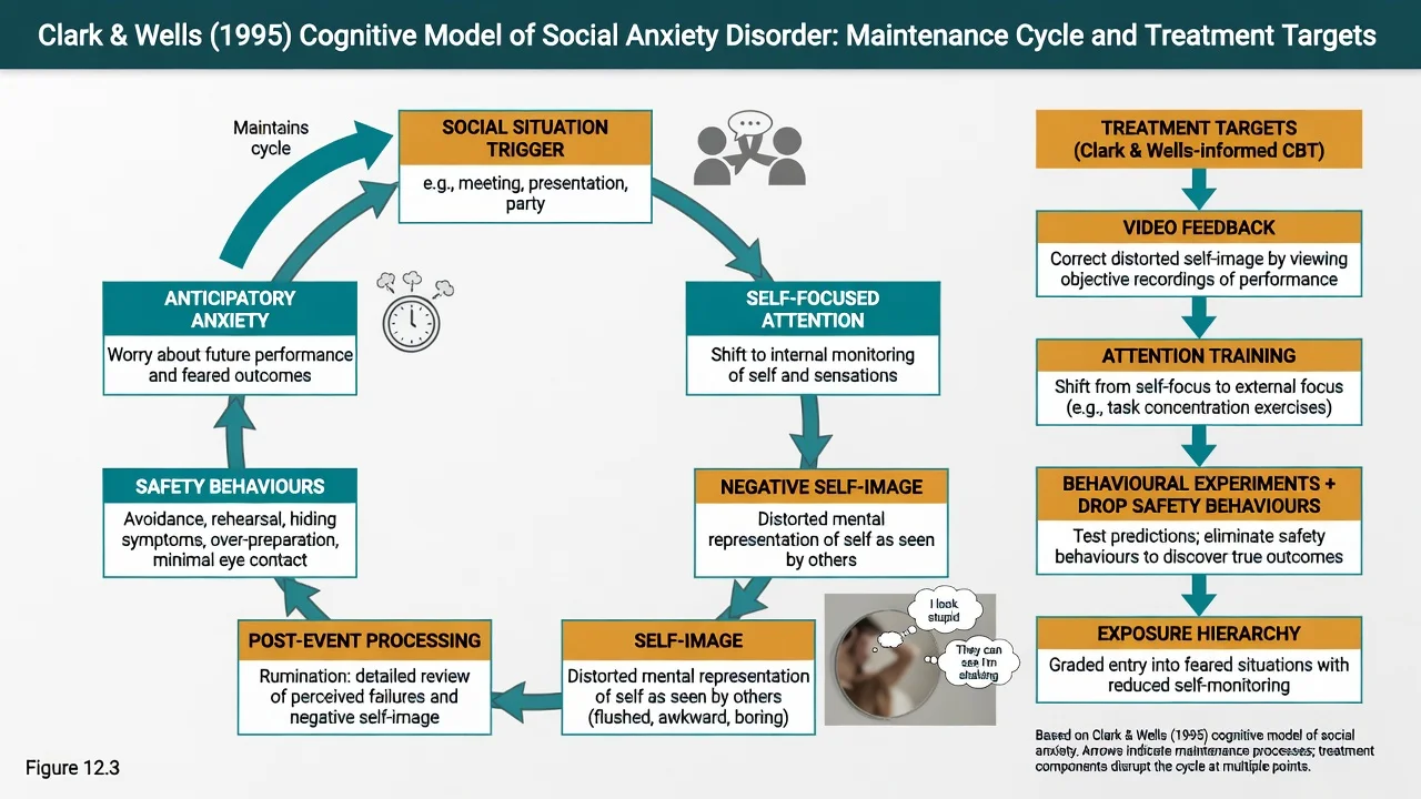 Clark and Wells cognitive model of social anxiety with maintenance cycle and CBT treatment targets