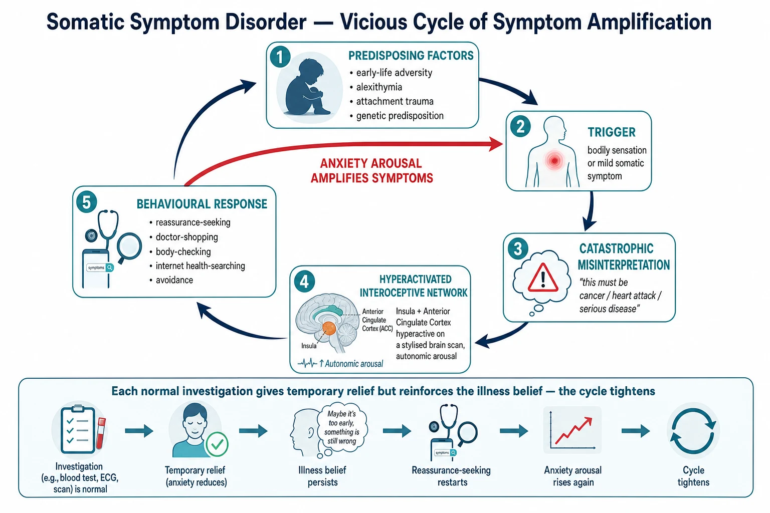 Biopsychosocial amplification cycle: bodily sensation, catastrophic appraisal, anxiety, safety behaviours, short relief, amplified attention