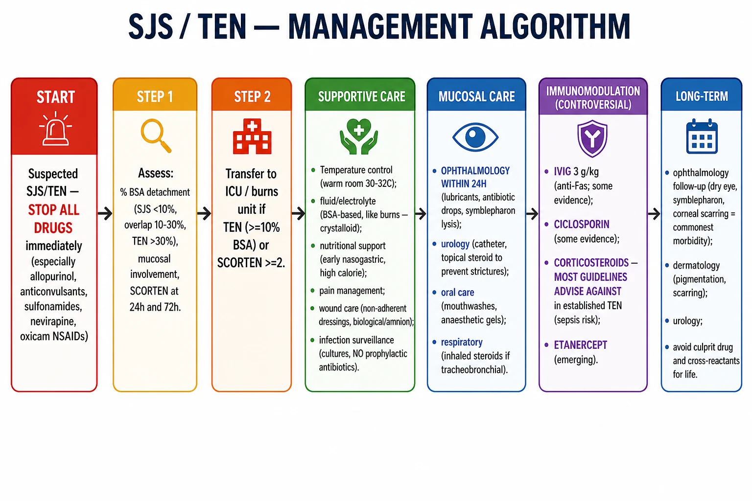 SJS/TEN management algorithm: stop all drugs, assess BSA and SCORTEN, transfer to ICU/burns, supportive care (fluid, nutrition, wound, infection), urgent ophthalmology, controversial IVIG/ciclosporin