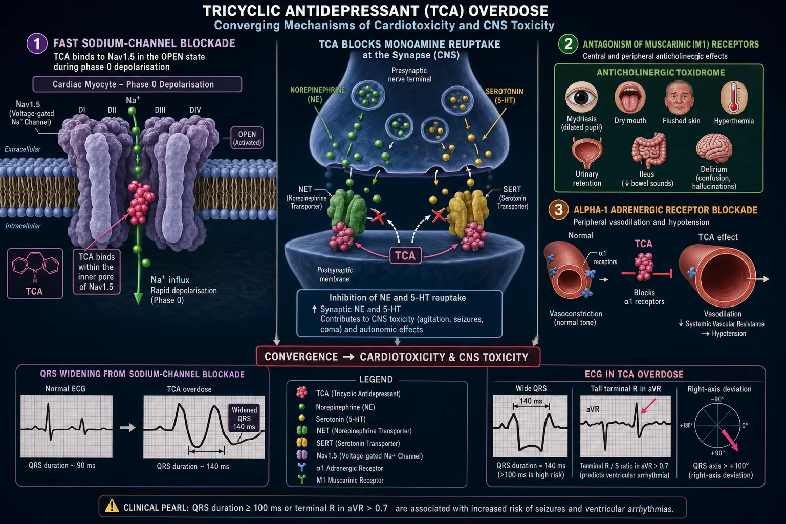 Pathophysiology diagram for tca-poisoning-comprehensive-icu