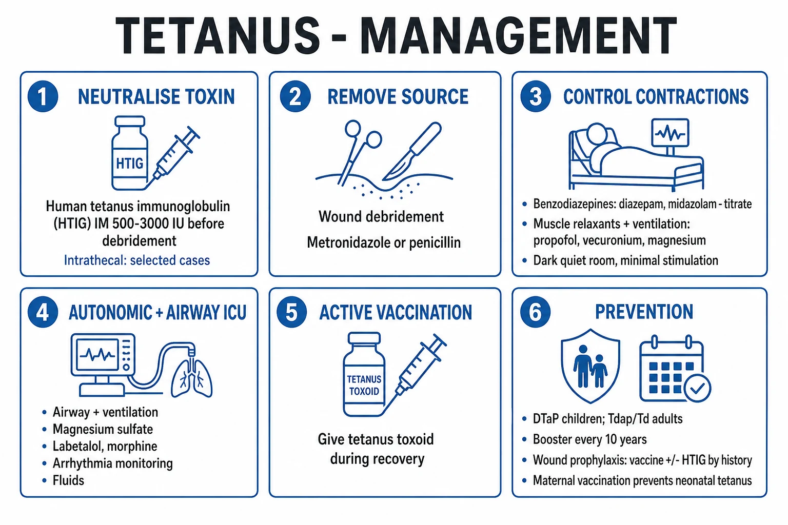 Clean management infographic of the four pillars: neutralise toxin (HTIG), remove the source (debridement plus metronidazole), control spasms and support (benzodiazepines, magnesium, ventilation, ICU), and vaccinate
