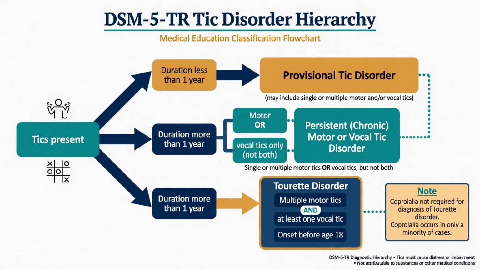 DSM-5-TR hierarchy of provisional, persistent and Tourette tic disorders