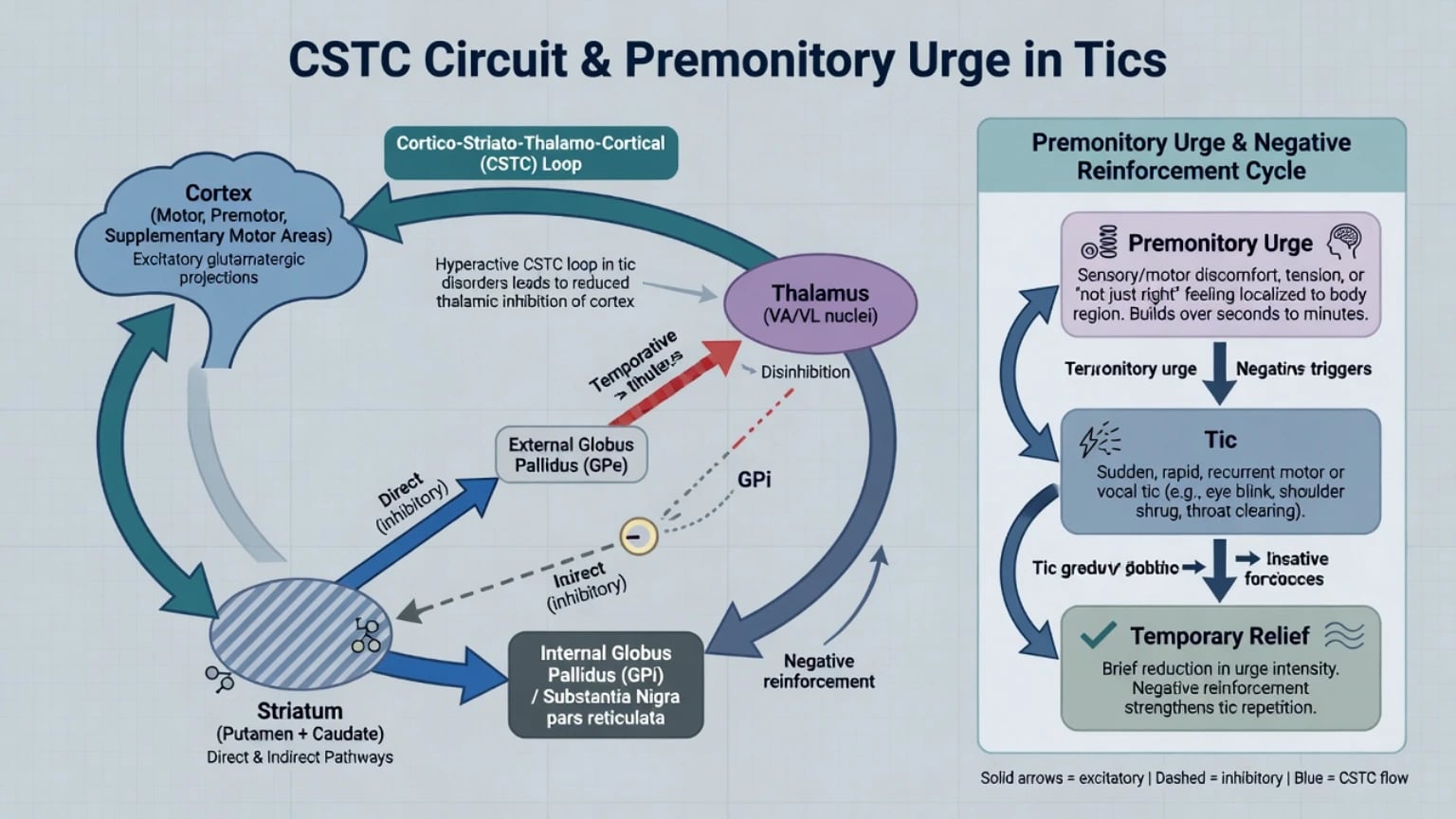CSTC circuit model and premonitory urge to tic relief loop