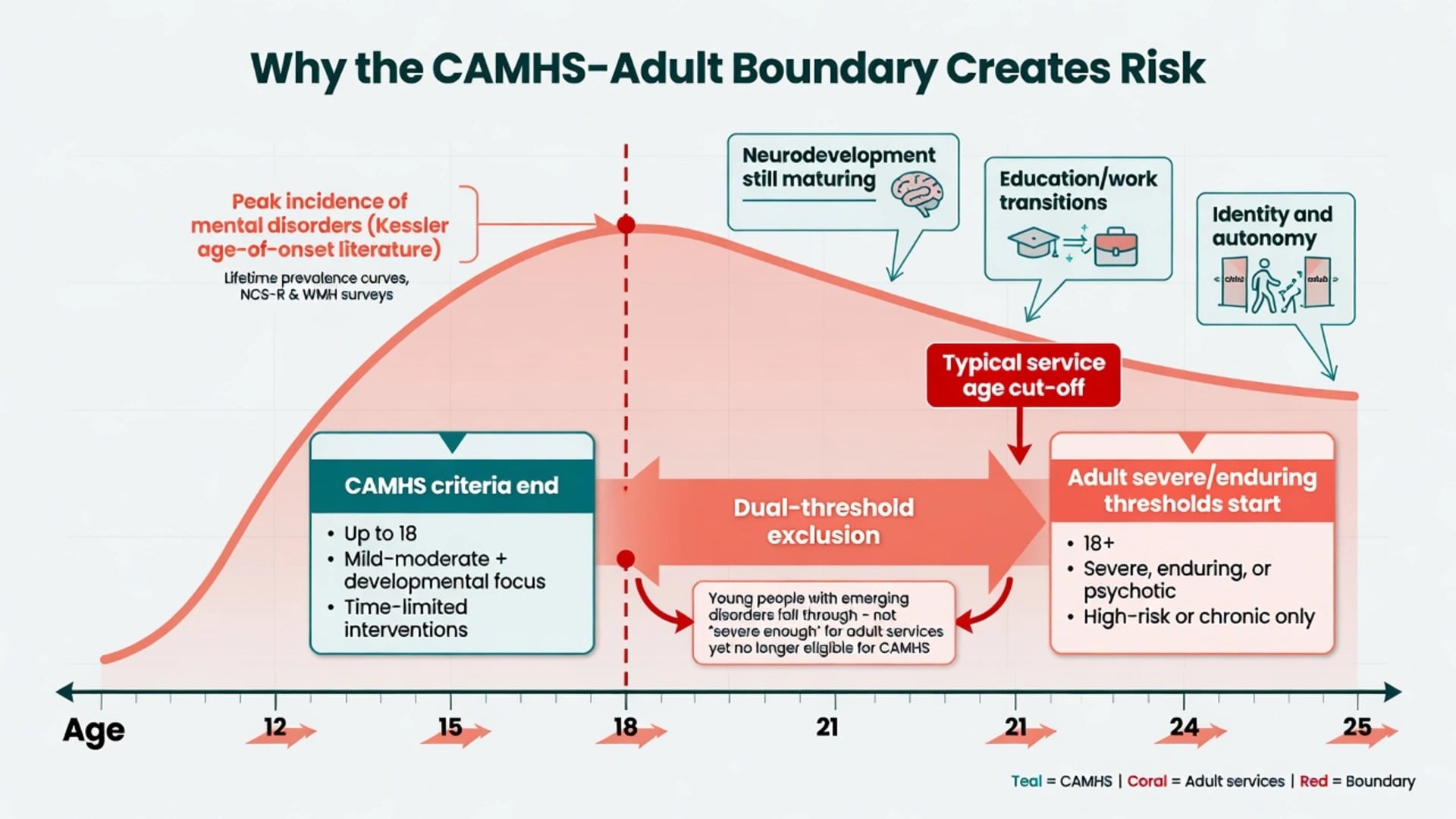 Educational panel of five post-CAMHS pathways: managed AMHS transition, specialist EIP pathway, youth 12–25 service, primary-care shared care, and care gap
