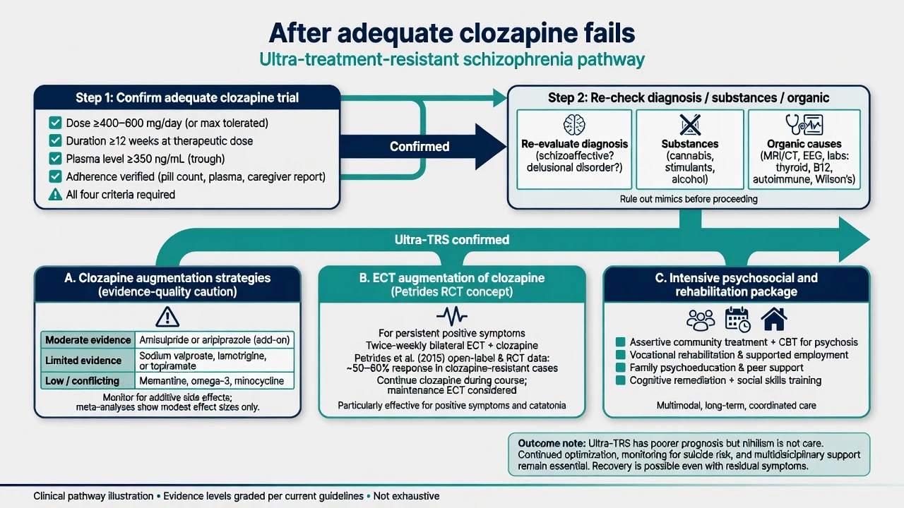 Pathway after adequate clozapine fails: confirm trial, recheck mimics, then augmentation ECT and psychosocial options