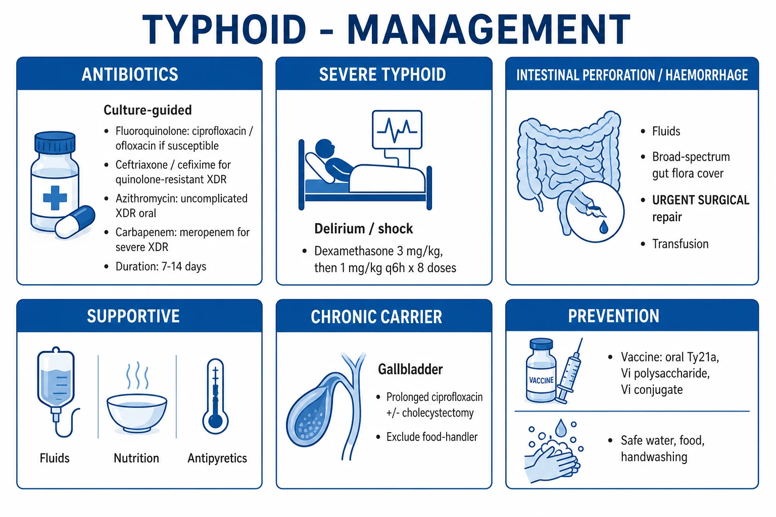Management ladder for returned traveller with fever: malaria smear and RDT, IV artesunate if severe, dengue fluid phases, melioidosis meropenem, TB isolation RIPE, influenza oseltamivir, COVID dexamethasone themes